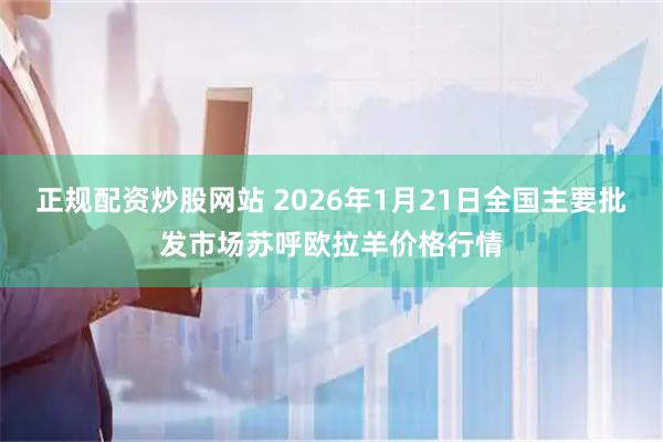 正规配资炒股网站 2026年1月21日全国主要批发市场苏呼欧拉羊价格行情
